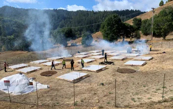 scientific burn study comparing burn rates of composted and non-composted mulch