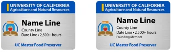 2026 Style D Badges - Silver badges