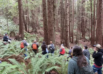 Tree School participants hike during an outdoor class.