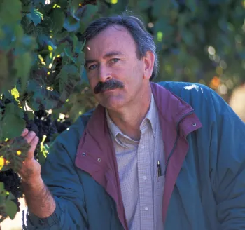 Larry Bettiga inspects vines in a vineyard
