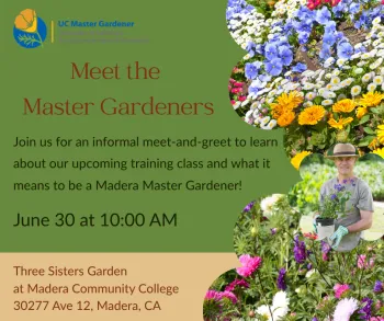 Meet the Master Gardeners (1) 6.30.26.png
