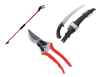 photo showing bypass pruners, pruning saw and long-armed pruner