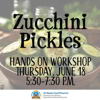 zucchini pickles workshop