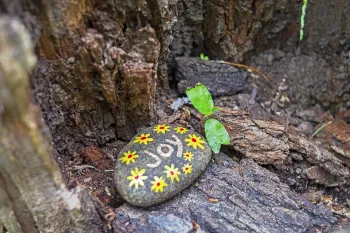 Rock painted with the word JOY sitting on the ground