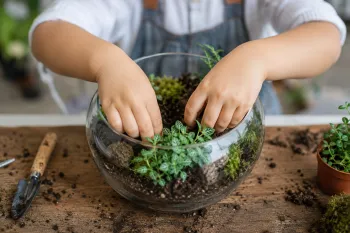 Glass terrarium with child's hands arranging plants inside of it.
