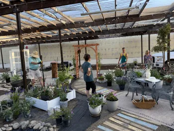 4 Master Gardeners placing Donated plants from Stepping Stone Nursery and Master Gardeners personal collections