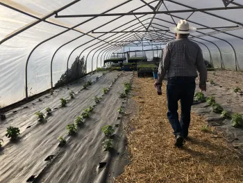 Southwest Regional Food Business Center clients standing in a greenhouse with growing crops.