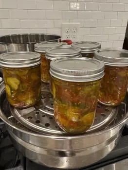 glass canning jars containing pickles and brine sit in a steam canner after processing