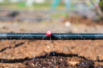 drip emitter spraying water
