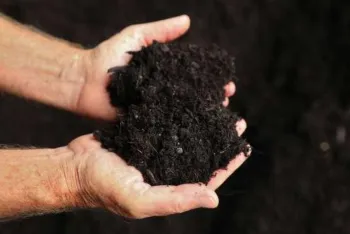hands holding dark compost