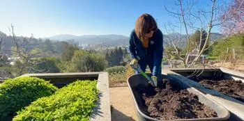 person amending a raised veggie bed with a mix of peat moss or coconut coir, compost, and vermiculite