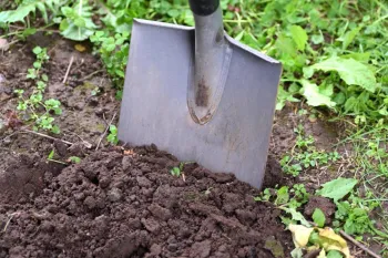 shovel digging into a garden bed