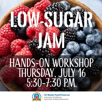 Low-Sugar Jam Workshop