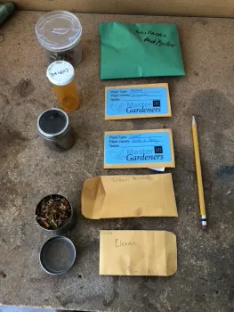 Appropriate plastic and metal seed-saving containers and several envelopes labeled with type and variety of seeds within.