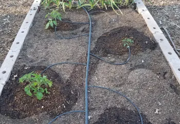 Learn to install & maintain a drip irrigation system on September 11. J. Alosi