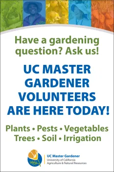 A-Frame sign template. Have a gardening questions? Ask Us! UC Master Gardener Volunteers are here today! UC Master Gardener Logo