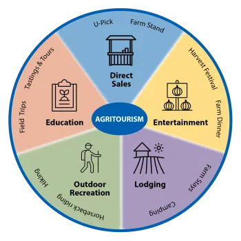 Circular infographic from UC SAREP showing agritourism categories: direct sales (U-pick, farm stand), entertainment (festivals, etc.), lodging (camping, etc.), outdoor recreation (hiking), and education (tastings, etc.).