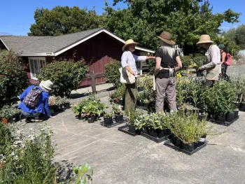 Participants browse and discuss native plants displayed outdoors during the Native Plant Boot Camp