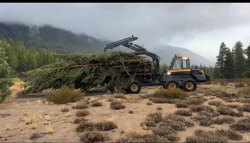A forwarder transporting recently harvested trees to the landing.