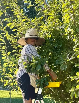 Madera MG at Three Sisters Garden 8.2026