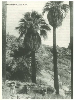 Indigenous women gathering materials in a desert riparian zone.