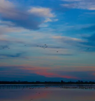 View of the Sacramento River Delta at dusk.
