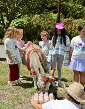 Five girls gather around as one girl brushes the donkey's back with a pink brush