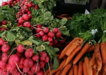bunches of radishes and carrots