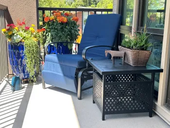potted flowers on a home deck