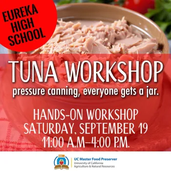 Hands-on tuna workshop