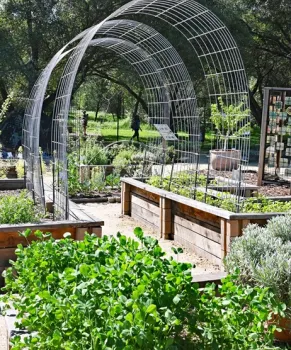 Loomis Demonstration Garden with arches for vertical growing vegetables