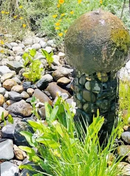 Water Garden Designed with California Native Plants