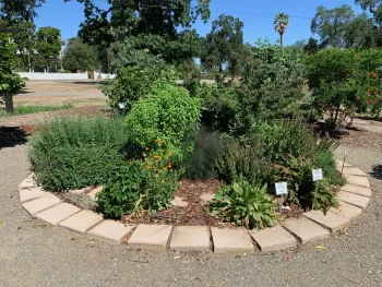 Group plants with similar sun and water requirements together, like these herbs at our Demo Garden. Laura Kling