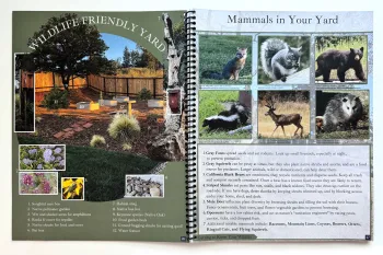 The Backyard Stewardship Guide features local wildlife, among many other topics. Laura Kling