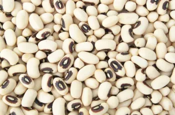 Blackeye bean seeds