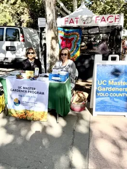 UC Master Gardener table in Davis Central Park