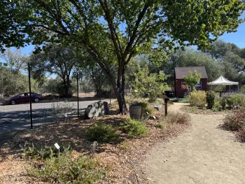 CA Native Woodland