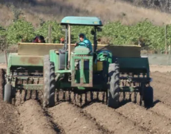 grain drill planting cover crop