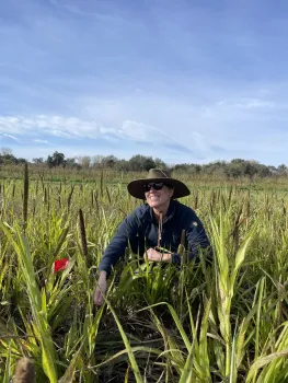 Smiling woman in sunhat and sunglasses kneels among tall, slender-leafed plants under blue sky