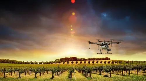 Photo illustration of a spray drone hovering over a orchard