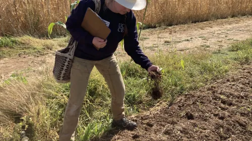 While holding a clipboard in her right hand, Margaret Lloyd grabs a handful of soil with her left hand from a tilled field.