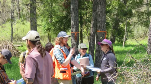 Man in cap and orange vest points to a cluster of trees as two Tree School participants laugh and smile while holding class papers and materials