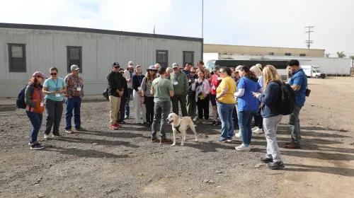 A group of people stand around a dog