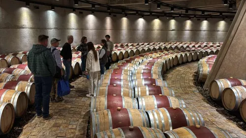 Seven people stand among dozens of wine barrels arranged concentric circles.