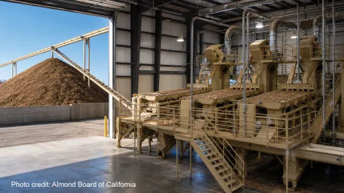 On left is a tall mound of almond hulls at the end of a conveyer running from an almond processing plant. On right are three machines, side by side, with trays full of nuts