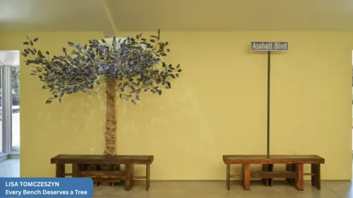 A wood bench in front of a tree and a bench in front of a street sign "Asphalt Blvd."