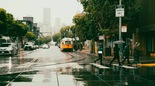 Rain falls on slickened streets of a city as pedestrians in a crosswalk hold umbrellas
