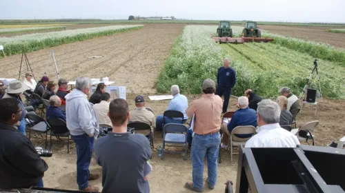 About 20 people sitting in folding chairs and standing on the edge of a crop field listen to a man speak. Two harvesters are running side by side in the field behind the speaker