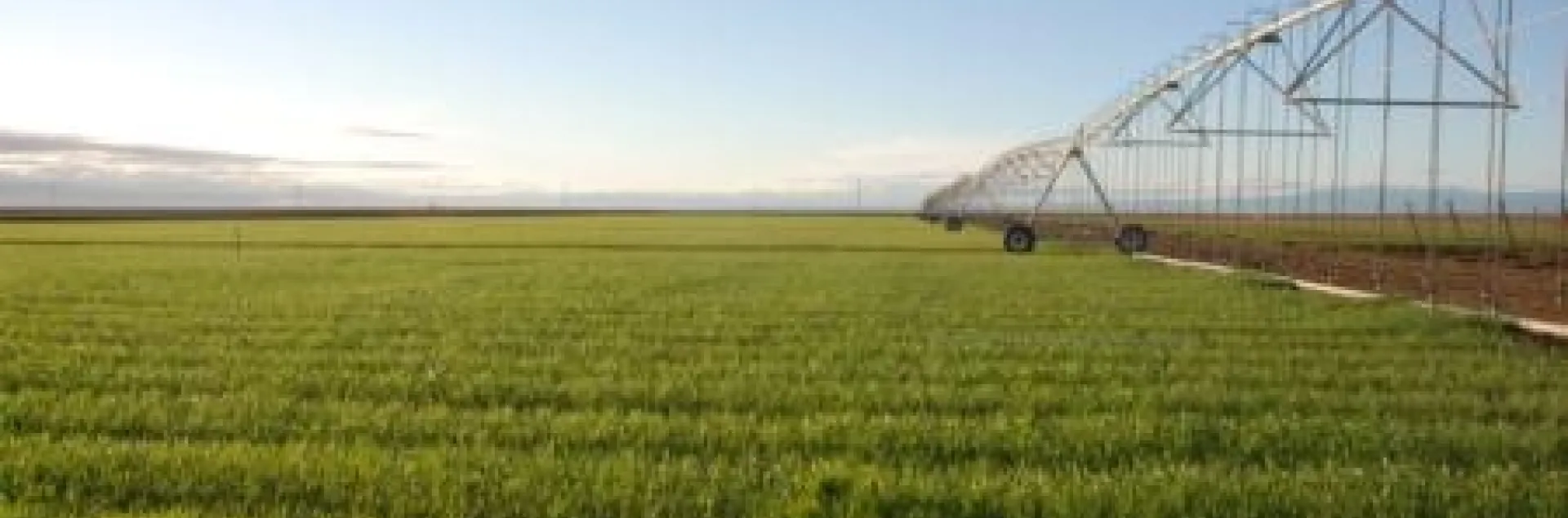 Overhead irrigation can be used in conjunction with conservation tillage.