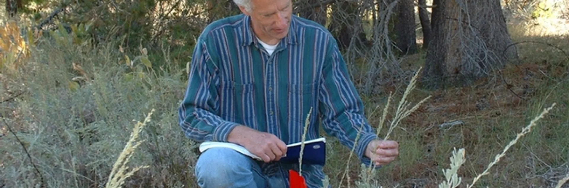Ecologist Rick Karban with sagebrush.